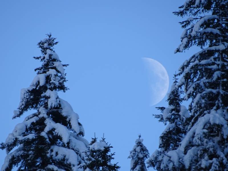 Lune entre les sapins splendid view amazing featuring the benefits wild of mountains on la Lune entre les sapins