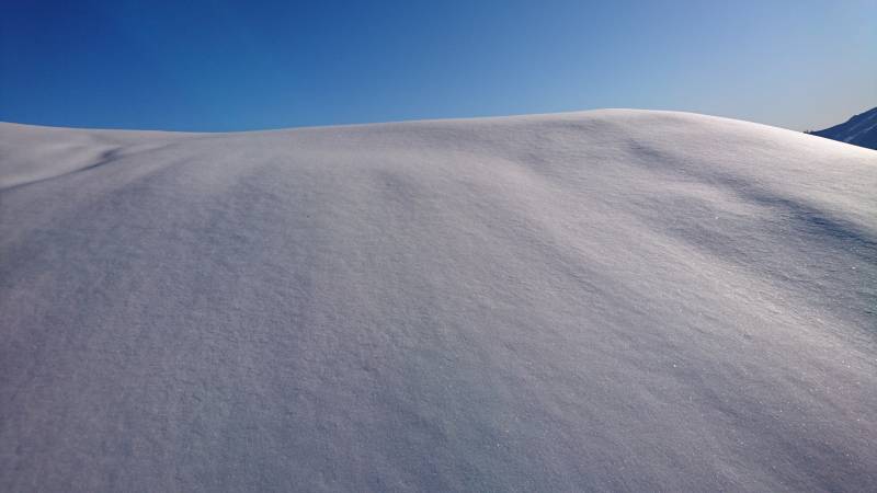 Neige vierge astonishing shot surprising featuring the benefits wild of mountains on la Neige vierge