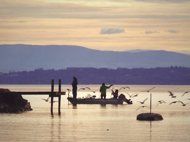 Lac Leman magnifique photographie surprennante démontrant les effets sauvage de la nature sur la Lac Leman