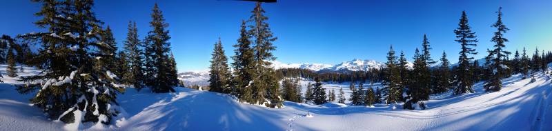 Hiver montagne neigeuse station ski foret arbre feuille verte relief montagneux ciel bleu paillete jour ensoleille meteo froide zone loisir L'image que vous avez fournie semble montrer une série de trois images avec différentes perspectives, probablement prises dans un environnement montagneux pendant l'hiver ou la primauté. La première photo capture une vue large d'un paysage avec du sol enneigé et des arbres typiques de forêts de pins trouvées dans telles régions. Dans les deuxième et troisième photos, il y a une vue plus près qui se concentre sur le sol enneigé des arbres et de la terrain, montrant plus de détails du forestier et possiblement certains animaux sauvages, qui ressemble à un renard ou une similaire espèce. Les couleurs présentes dans toutes les trois images comprennent différentes nuances de vert, brun, blanc et bleu.