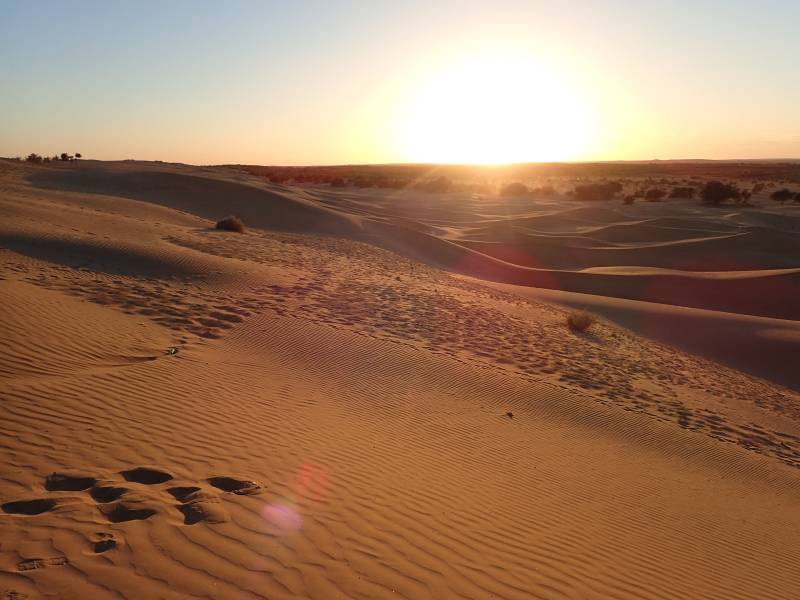 Coucher soleil desertique dune sable crepuscule ciel piste ondulee chaudes vegetation rase Cet image représente une scène désertique tranquille. Le principal élément est une dune de sable qui semble bien érodée, ce qui suggère une utilisation fréquente. Le ciel au-dessus de la dune est clair avec le soleil soit juste en dessous de l'horizon ou qui se lève, projetant un éclairage chaleureux sur la paysage. Il y a également une effet halo autour du soleil, indiquant que l'image a été prise à l'aube ou au coucher du soleil. Le point de vue de la photo est du sol, en regardant vers le soleil, ce qui crée un interplay intéressant entre la lumière et les ombres sur la surface de la dune.