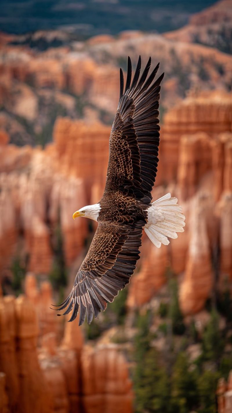 Aigle oiseau vol nature faune air ciel montagnes canyon falaises arbres verdure soleil ombres decor aventure exploration roche formations Un aigle chauve plane dans les airs avec ses ailes largement déployées. L'aigle a un corps brun foncé avec des plumes blanches sur la tête et le cou. Ses ailes sont un mélange de plumes brun foncé et blanches. L'arrière-plan présente un paysage avec des formations rocheuses brun-rouge et un peu de verdure. Le ciel au-dessus est clair et bleu.