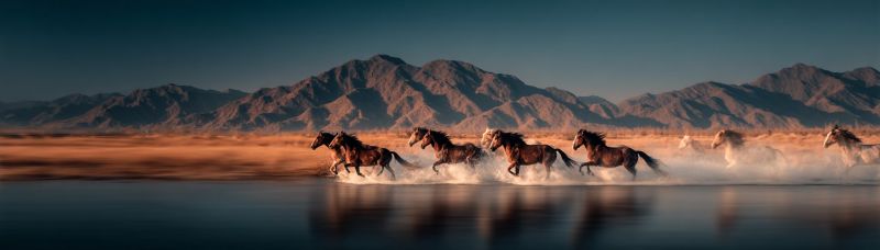 Chevaux course eau montagnes desert faune liberte nature animaux air sauvage aventure beaute equitation Un groupe de chevaux court énergiquement à travers un plan d'eau peu profond, leurs sabots projetant des éclaboussures. Les chevaux sont de différentes teintes, notamment brun, noir et blanc. Ils sont alignés, la tête baissée et la queue flottant derrière eux. L'eau reflète les chevaux et le paysage environnant. En arrière-plan, il y a un vaste terrain aride avec une série de montagnes sous un ciel clair et bleu. Le ciel est d'un bleu profond, et les montagnes sont un mélange de brun et de vert, avec certaines zones apparaissant rocheuses.
