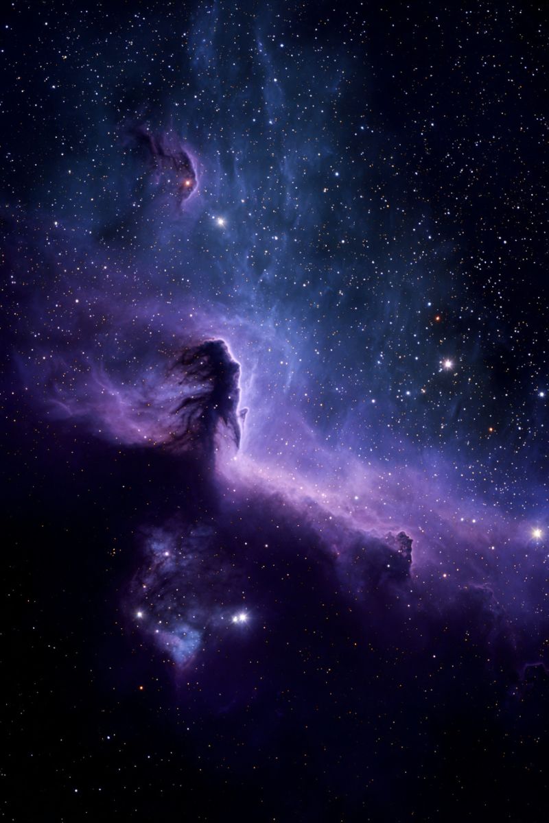 Espace nuit ciel galaxie univers etoile astronomie cosmos nebuleuse sombre celeste astronomique cosmique astrophysique astrophotographie amas Une vaste étendue de l'espace remplie d'une riche tapisserie de couleurs, principalement des violets profonds et des bleus. Au premier plan, il y a une grande structure nébuleuse semblable à un nuage, sombre et complexe, avec des motifs tourbillonnants et des tentacules de gaz et de poussière. La nébuleuse est éclairée par une étoile brillante et lumineuse à son centre, projetant une douce lumière qui met en valeur les caractéristiques délicates du nuage. Autour de la nébuleuse, le fond est parsemé d'innombrables étoiles de tailles et de luminosités variées, créant un effet étincelant contre le ciel sombre. La scène globale est à la fois majestueuse et sereine, évoquant un sentiment d'infini et de nature mystérieuse de l'univers.