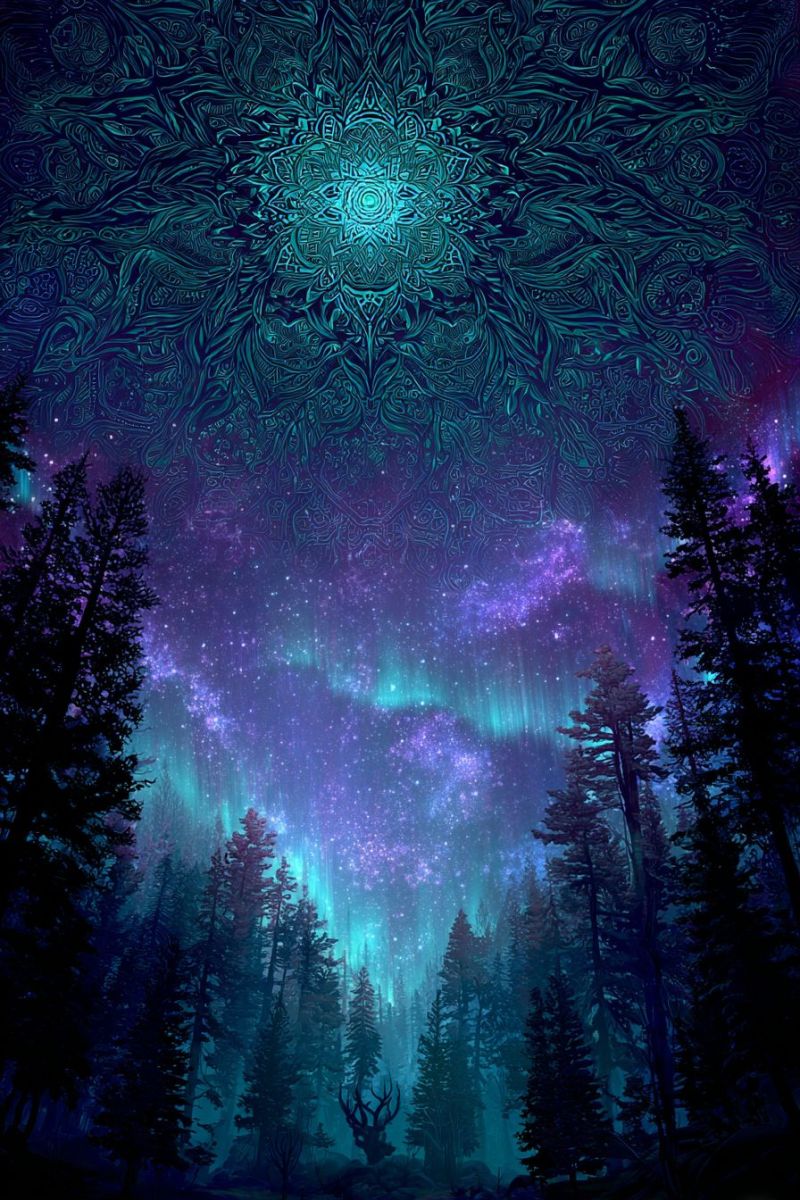 Foret nuit ciel arbres etoiles aurore obscurite mystique fantaisie lueur nord Scène mystique de forêt sous un ciel nocturne rempli de couleurs vibrantes. Le ciel est d'un gradient bleu profond et violet, orné de motifs complexes et lumineux qui ressemblent à un mandala. Au centre du ciel, il y a un grand design circulaire avec un centre lumineux et brillant, entouré de motifs tourbillonnants de feuilles. Le ciel présente également les aurores boréales, avec des teintes vertes et violettes dansant à travers le ciel. La forêt est remplie de grands arbres sombres, leurs branches s'étendant comme des bras. Le sol est recouvert d'une épaisse couche de neige, reflétant la lumière du ciel. Au premier plan, il y a une silhouette de cerf aux bois, debout immobile et regardant vers le ciel.