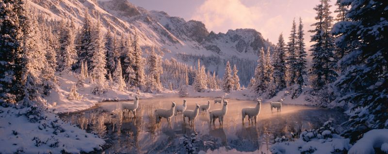 Mountains snow animals wildlife nature winter cold frost trees forest reflection water lake ice sky clouds daytime outdoors scenery In a serene, snowy landscape, a group of white alpacas stands in a tranquil, reflective pond. The pond is surrounded by snow-covered ground and pine trees dusted with snow. The sky above is a soft pink, suggesting either dawn or dusk. In the background, snow-capped mountains rise majestically, their peaks catching the soft light. The overall scene is peaceful and picturesque, with the gentle light enhancing the snowy, wintry atmosphere.
