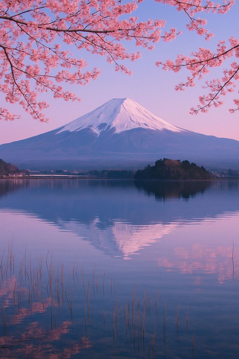Mountain lake sky reflection water nature sunset trees snow evening pink beauty tranquility outdoors scenery calm serene majestic cherry blossoms A serene landscape features a tranquil lake with gentle ripples reflecting the sky and surrounding trees. In the background, a majestic snow-capped mountain stands tall, its peak dusted with snow. The mountain is framed by lush, pink cherry blossoms in full bloom, their branches gracefully arching over the lake. The sky above is a soft gradient of pink and blue, hinting at the approach of dusk.