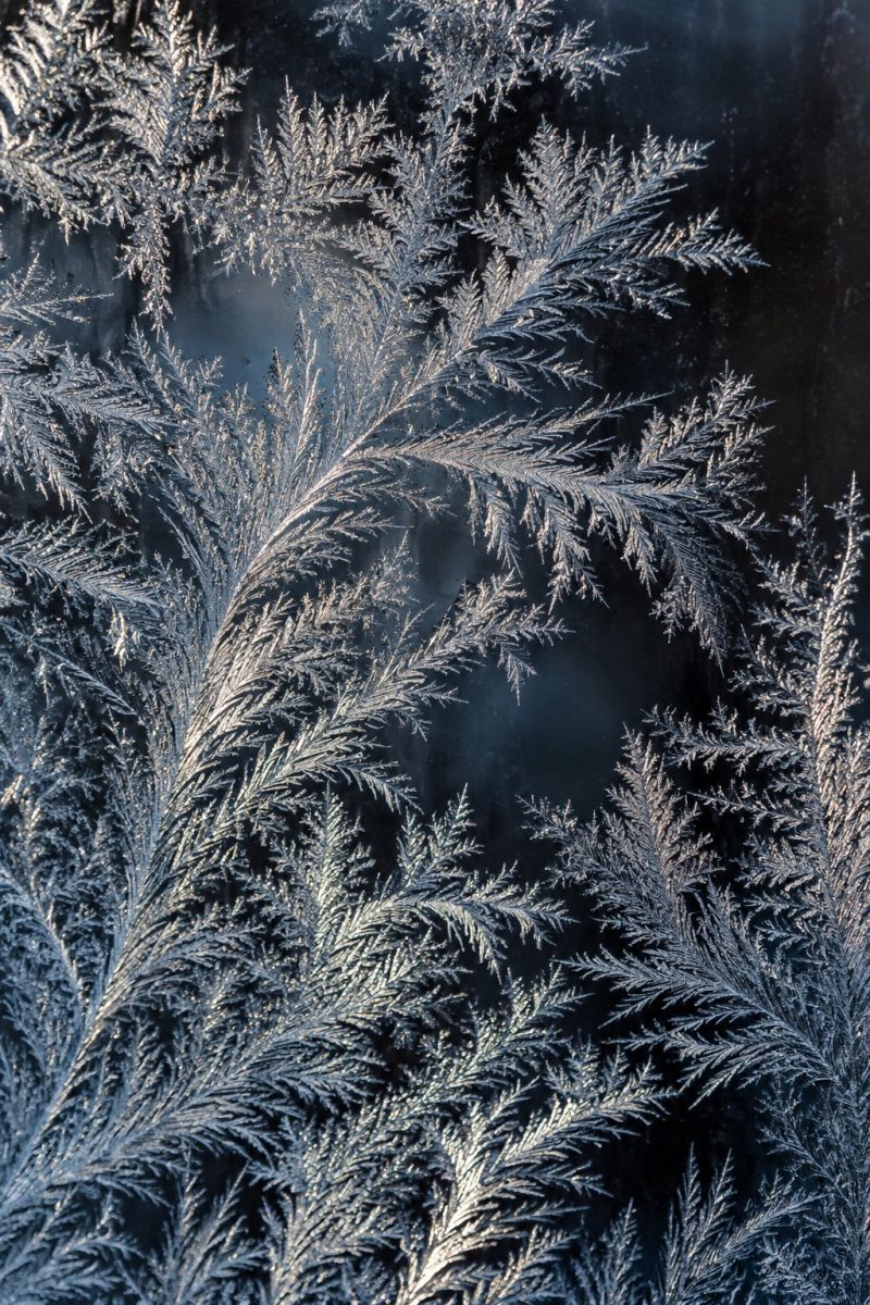 Fougeres givre vitre sombre image picture accurate picture amazing demonstrating the mischiefs wild of human activities on la fougeres givre vitre sombre