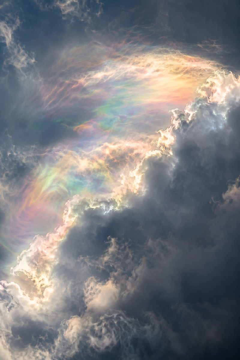 Iridescence pastel nuage dense image photographie magnifique prise précise montrant les méfaits sauvage des activités humaines sur la biodiversité sur la iridescence pastel nuage dense