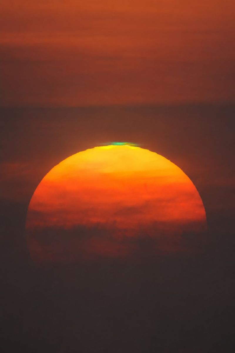 Eclair vert bord soleil image photographie magnifique prise précise montrant les méfaits sauvage des activités humaines sur la biodiversité sur la eclair vert bord soleil