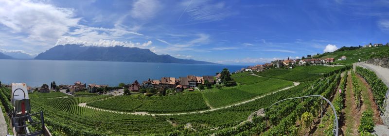 Rivaz dezalay leman riviera vignes panoramic From a high vantage point, a panoramic view showcases a serene landscape. In the foreground, a vast vineyard stretches across the hillside, with neatly arranged rows of grapevines. The vineyard is bordered by a winding road that curves through the greenery. To the left, a small village nestles at the base of the hill, with charming houses and buildings. The village is surrounded by lush greenery, and a small body of water, likely a lake, stretches out in the distance. The lake is bordered by a rugged mountain range, with peaks rising majestically against the back of a clear blue sky. The sky is dotted with a few fluffy clouds, adding to the picturesque scene.