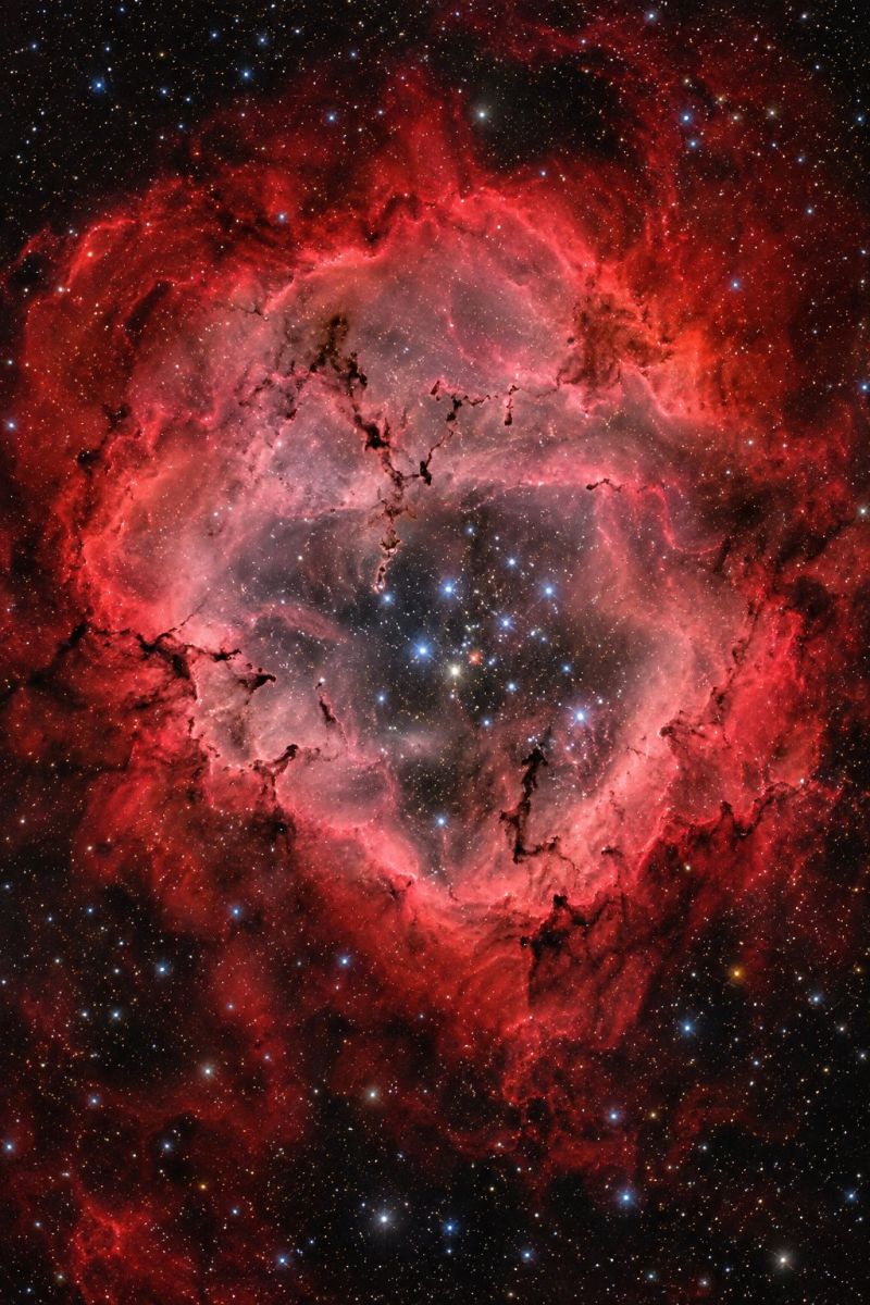 Nebula star space astronomy galaxy universe cosmic celestial astronomical cosmology astrophysics starburst red dark night sky outer spacecraft telesco The image showcases a nebula, primarily in shades of red and pink, with intricate, swirling patterns that resemble a rose or a flower. The central part of the nebula is darker, almost black, and surrounded by a bright, glowing rim. Scattered throughout the nebula are numerous small, bright stars, some of which appear to be blue or white. The background is dark, emphasizing the vibrant colors of the nebula. The overall shape is circular, with the nebula's edges blending into the dark space around it.