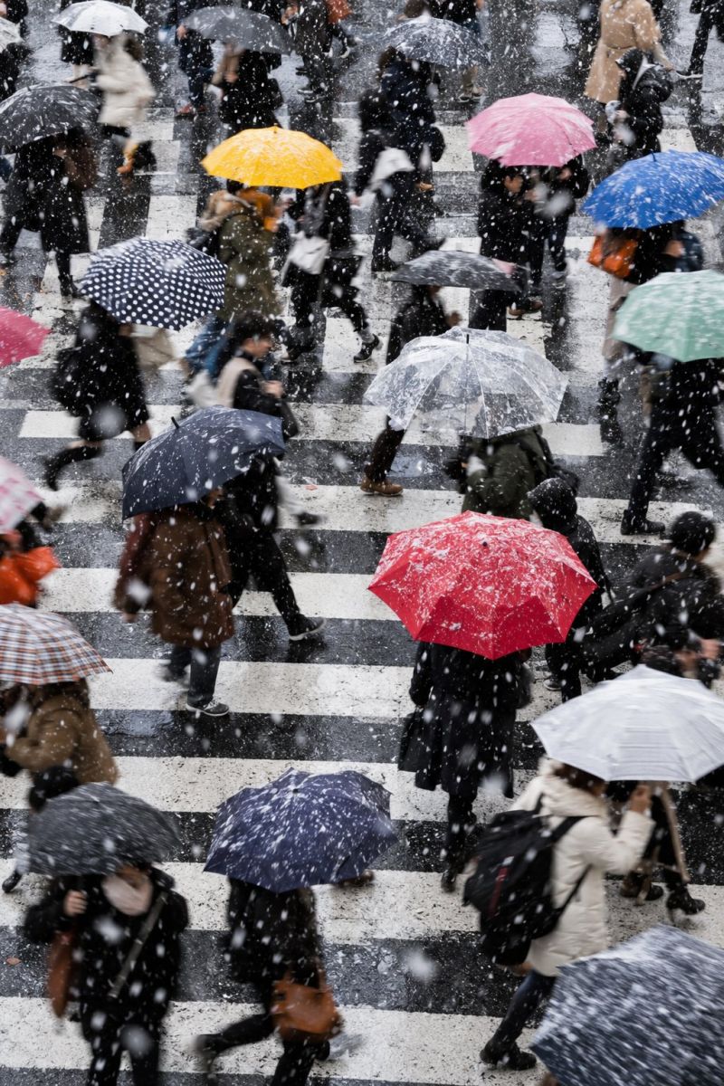Parapluies colores neige image picture photograph accurate picture amazing demonstrating the mischiefs wild of human activities on la parapluies colores neige