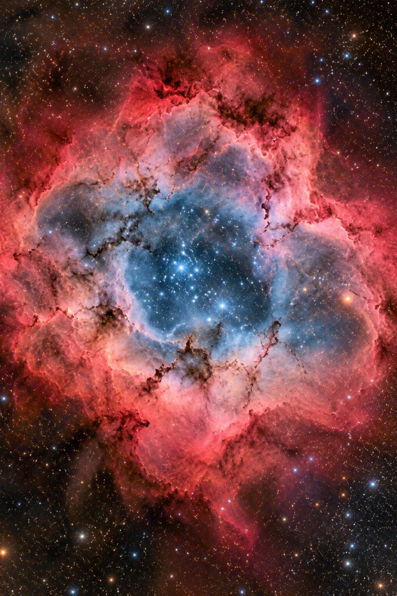 Nebula space galaxy star astronomy universe cosmos astrophysics celestial cosmic outer cluster formation interstellar red blue hues stellar nursery ebula, a vast cloud of gas and dust in space. The nebula is predominantly red and blue, with intricate, swirling patterns. In the center, there is a bright, blue-white area surrounded by a darker blue ring. This central region is surrounded by a larger, reddish-pink cloud that extends outward in a spiral shape. The nebula is set against a back of dark space, with numerous stars scattered throughout, adding to the celestial beauty of the scene.
